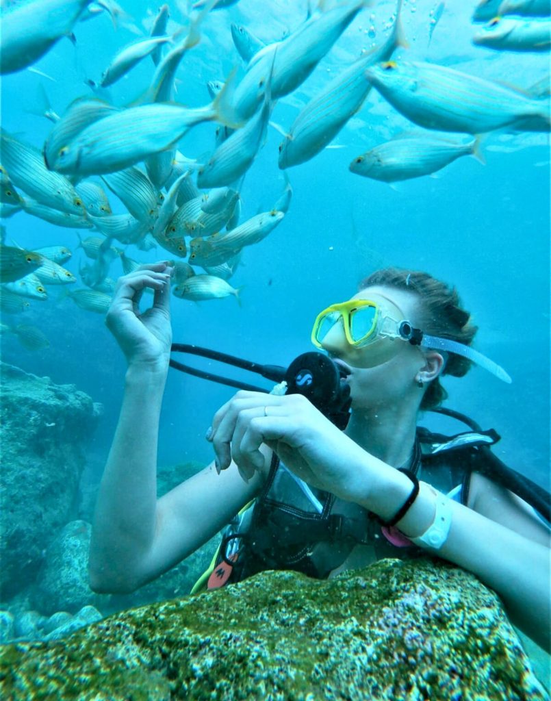 Kemer Dalış Turu Balık Besleme