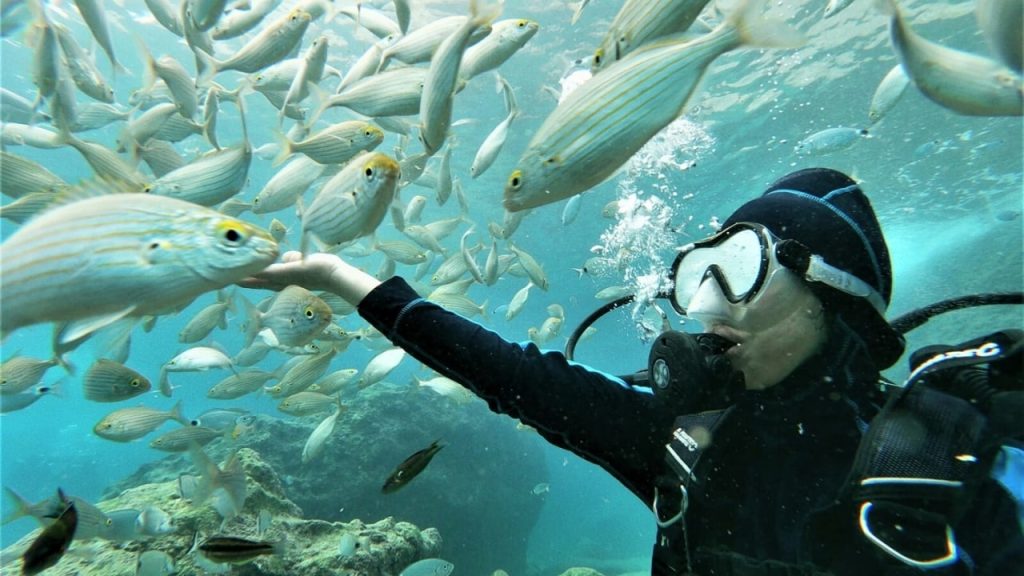 Kemer Dalış Turu Sualtı Keşfi