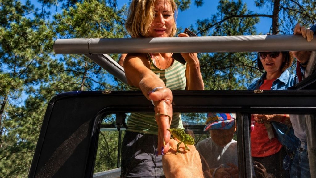Bodrum Jeep Safari